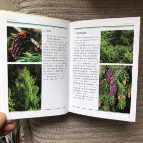 青海常见野生植物识别手册