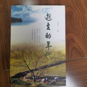 逝去的年代