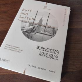 失业白领的职场漂流（理想国纪实系列）