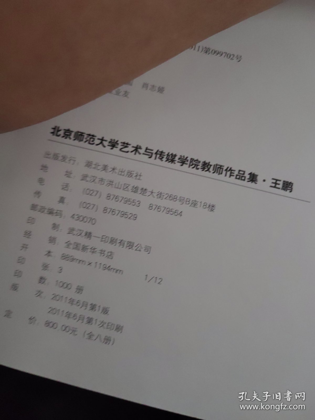 点击查看原图 北京师范大学艺术与传媒学院教师作品集. 王鹏