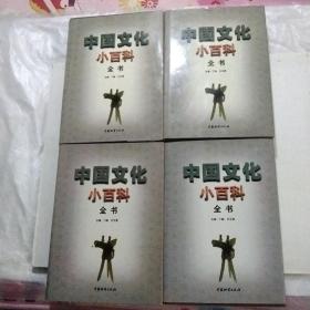 中国文化小百科全书（精装）