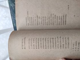 王老九诗选