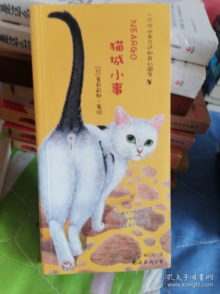 猫城小事