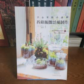 手心里的小森林：苔藓瓶微景观制作