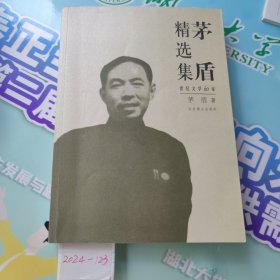 茅盾精选集：世纪文学六十家