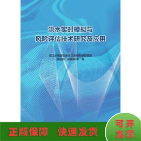 洪水实时模拟与风险评估技术研究及应用