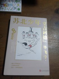 我们小时候：苏北少年“堂吉诃德”（茅盾文学奖得主毕飞宇童年回忆录，央视《读书》，人民日报，中国教育报推荐）（精装珍藏版）