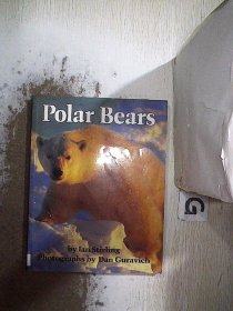 Polar Bears 北极熊