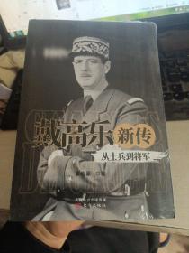 戴高乐新传：从士兵到将军