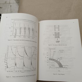 THE INTERNATIONAL NUCLEAR PHYSICS CONFERENCE