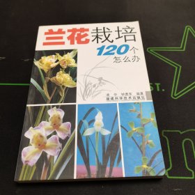 兰花栽培120个怎么办