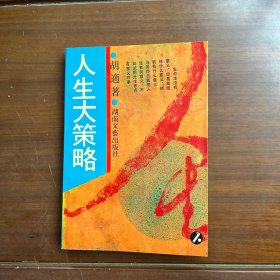 人生大策略