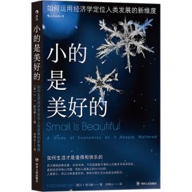 小的是美好的 如何运用经济学定位人类发展的新维度