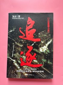 大量实拍图！【追逐：跨国追击外逃贪官】，2009年一版一印！内页干净，无勾划！长篇反腐小说 社会生态官场生存 跨国追击外逃贪官拷问权欲真相