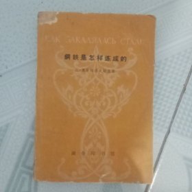 钢铁是怎样炼成的 1965年（节本 俄汉对照）