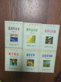 诗词坊-（杜甫心影录，浪迹东坡路，清诗的春夏，晚唐风韵，纵放悲歌，闲坐说诗经6册合售有黄斑）