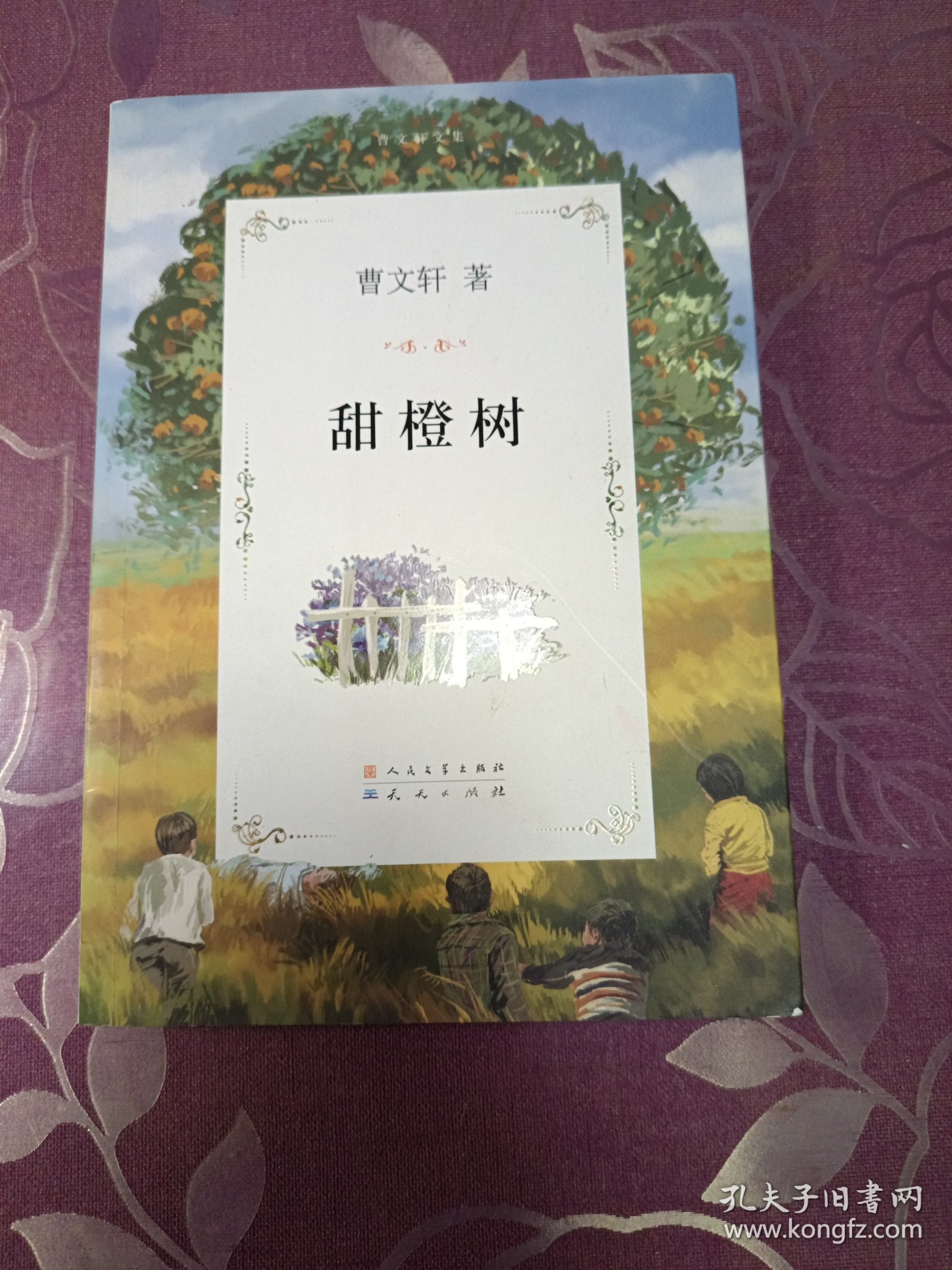 曹文轩文集：甜橙树