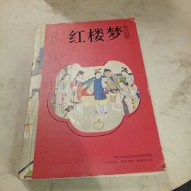 红楼梦 四大名著（青少版，白话改编，清孙温工笔彩插， 疑难字注音注释，附赠彩绘大页）