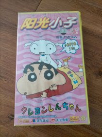 阳光小子2VCD全12碟装（原封原盒未拆封）.
