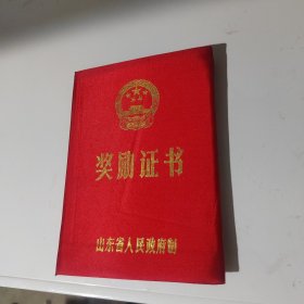 奖励证书 山东省人民政府制