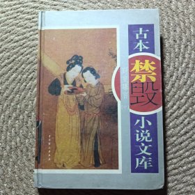 古本禁毁小说文库 野叟曝言 中卷