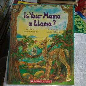Is Your Mama a Llama?  你的妈妈是驼羊吗？