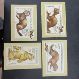 .民主德国邮票1982年貂类动物貂艾虎邮票 极限片 ，一套4枚，非常漂亮，本店邮品满25元包邮。本店还在孔网开“韶州邮社”