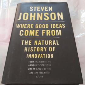 Where Good Ideas Come From：The Natural History of Innovation