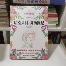 哈克贝利 芬历险记（轻经典轻阅读系列丛书）