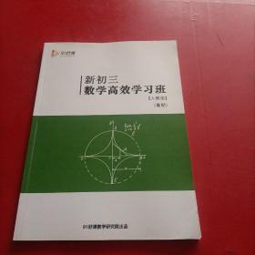 新初三数学高效学习班 人教版 暑期