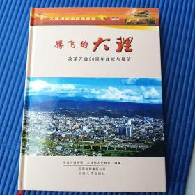 腾飞的大理一一改革开放30周年成就与展望（带插图）