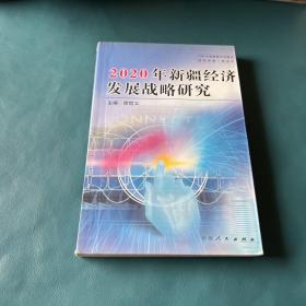 2020年新疆经济发展战略研究【一版一印】