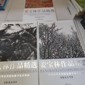 中国高等美术院校教学范本精选 姜宝林作品精选《积墨山水.花卉大写.新抽象水墨 全三册》 （全新未拆封2）.