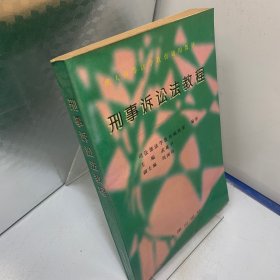 刑事诉讼法教程