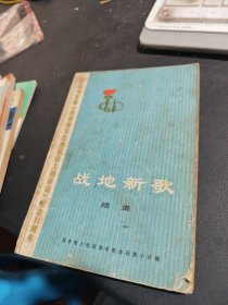 战斗新歌 续集