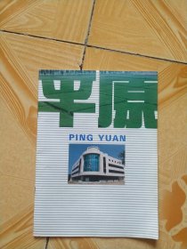 九十年代山东省徳州市平原县宣传画册