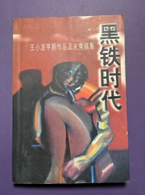 黑铁时代：王小波早期作品及未竟稿集