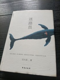 迷路员（青年小说家沈大成继《小行星掉在下午》后最新作品）
