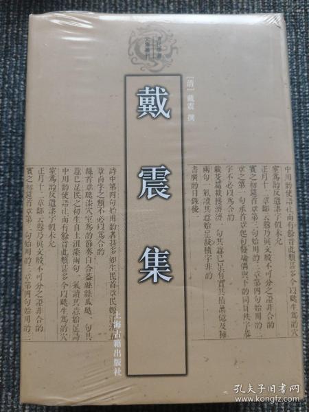 戴震集：清代学者文集丛刊