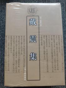 戴震集：清代学者文集丛刊