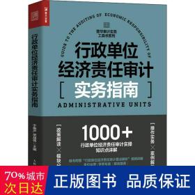 行政单位经济责任审计实务指南