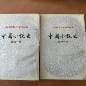 中国小说史（上下册）