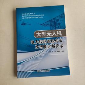 大型无人机电力线路巡检作业及智能诊断技术