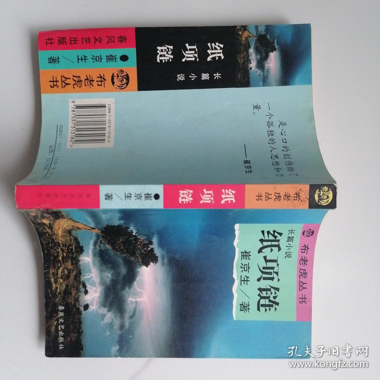 纸项链：布老虎丛书