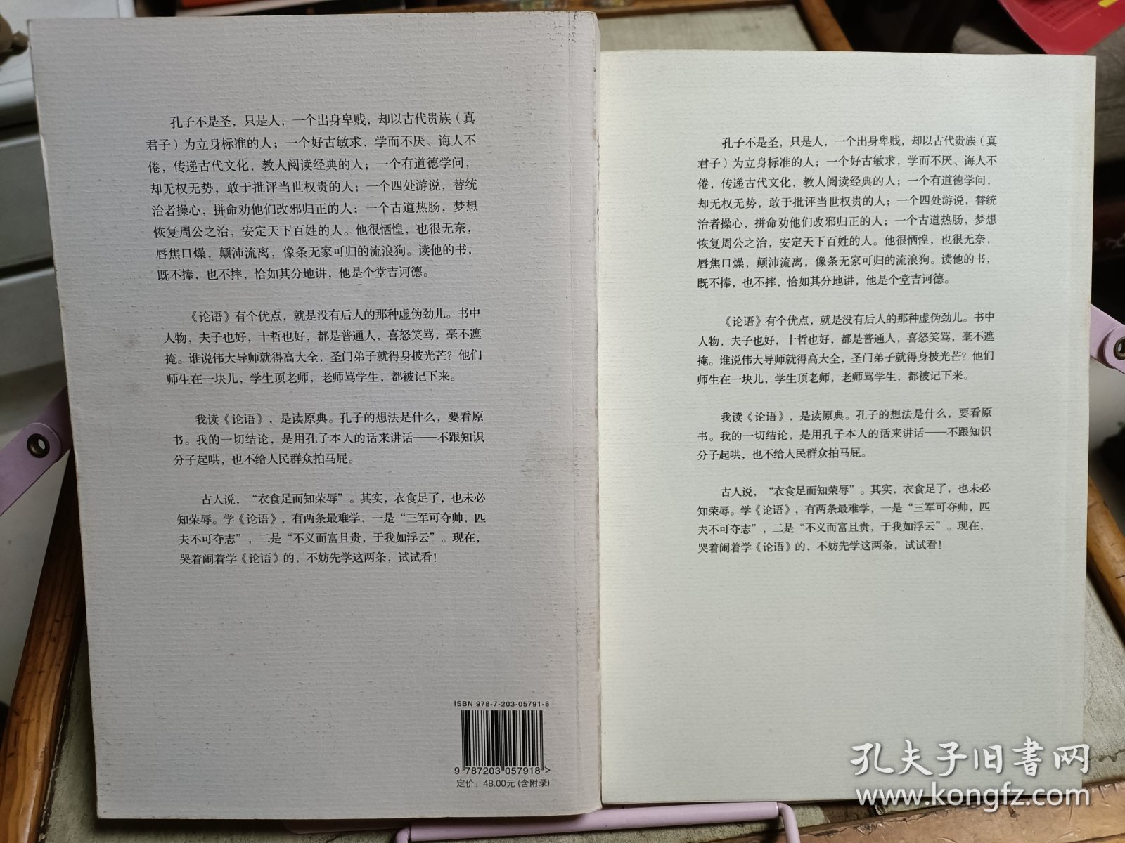 丧家狗：我读《论语》 （含附录）