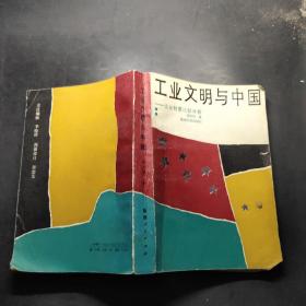 工业文明与中国——企业制度比较分析