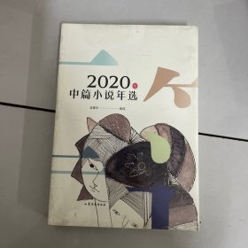 2020年中篇小说年选