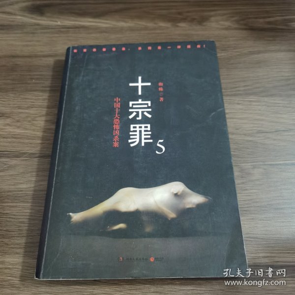 十宗罪5：中国十大凶杀案