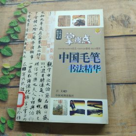 中外文化精品 中国毛笔书法精华