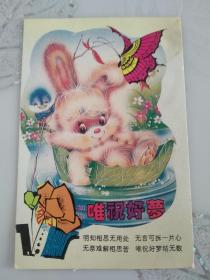 兔子 明信片